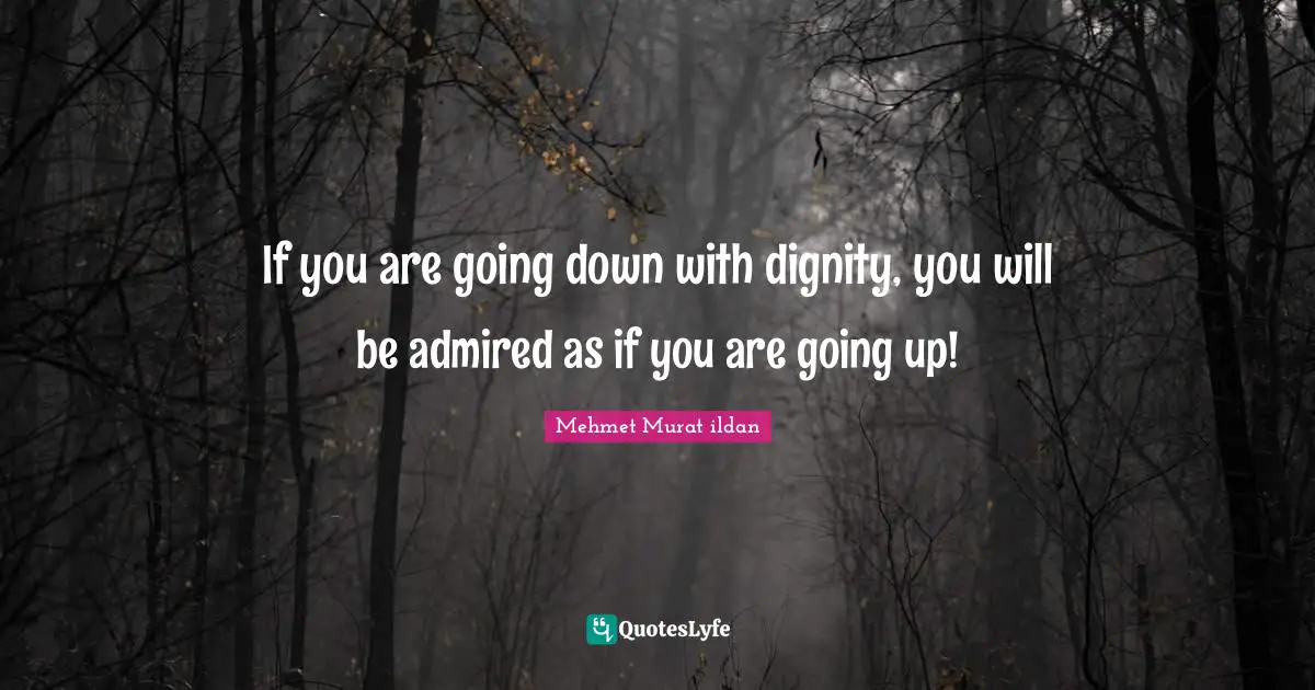 If you are going down with dignity, you will be admired as if you are going up!