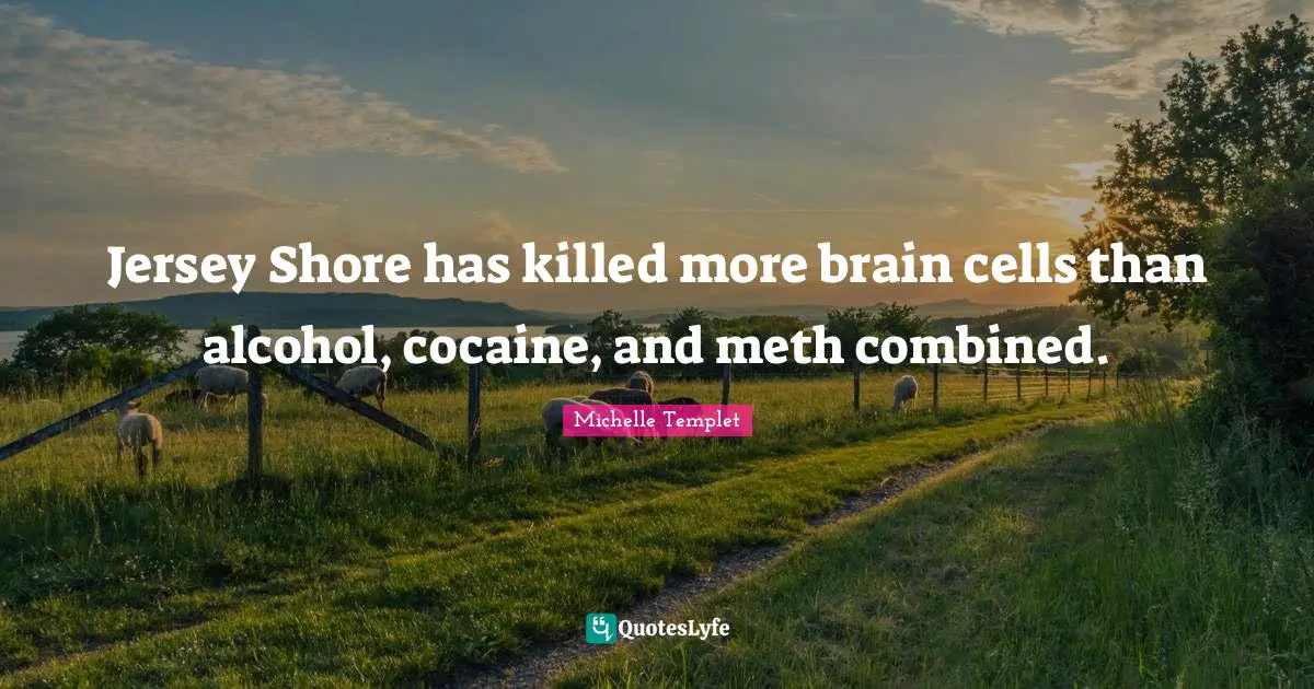 Michelle Templet Quotes: "Jersey Shore has killed more brain cells than alcohol, cocaine, and meth combined."