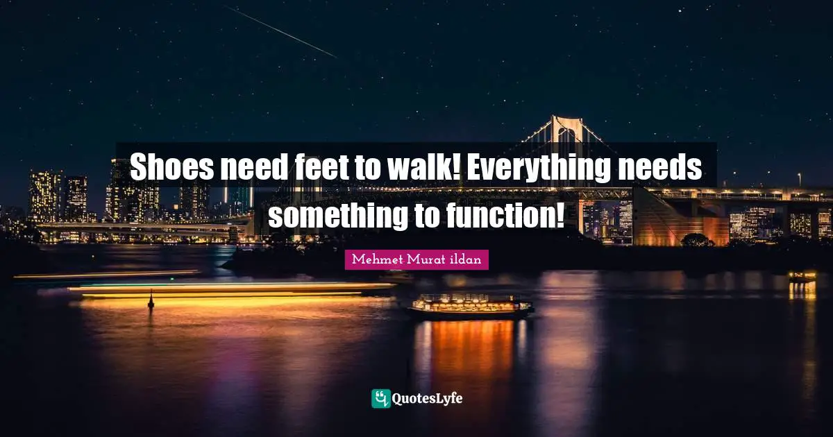 Mehmet Murat ildan Quotes: Shoes need feet to walk! Everything needs something to function!