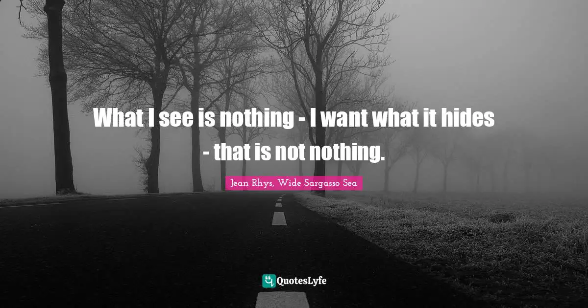 What I see is nothing - I want what it hides - that is not nothing.