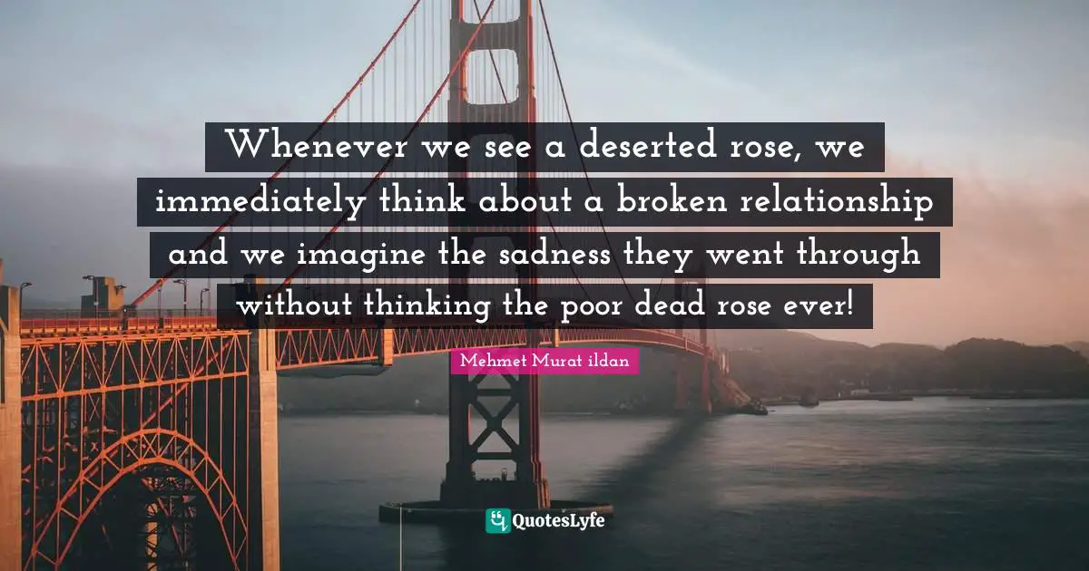 Ildan Wisdom Quotes: "Whenever we see a deserted rose, we immediately think about a broken relationship and we imagine the sadness they went through without thinking the poor dead rose ever!"