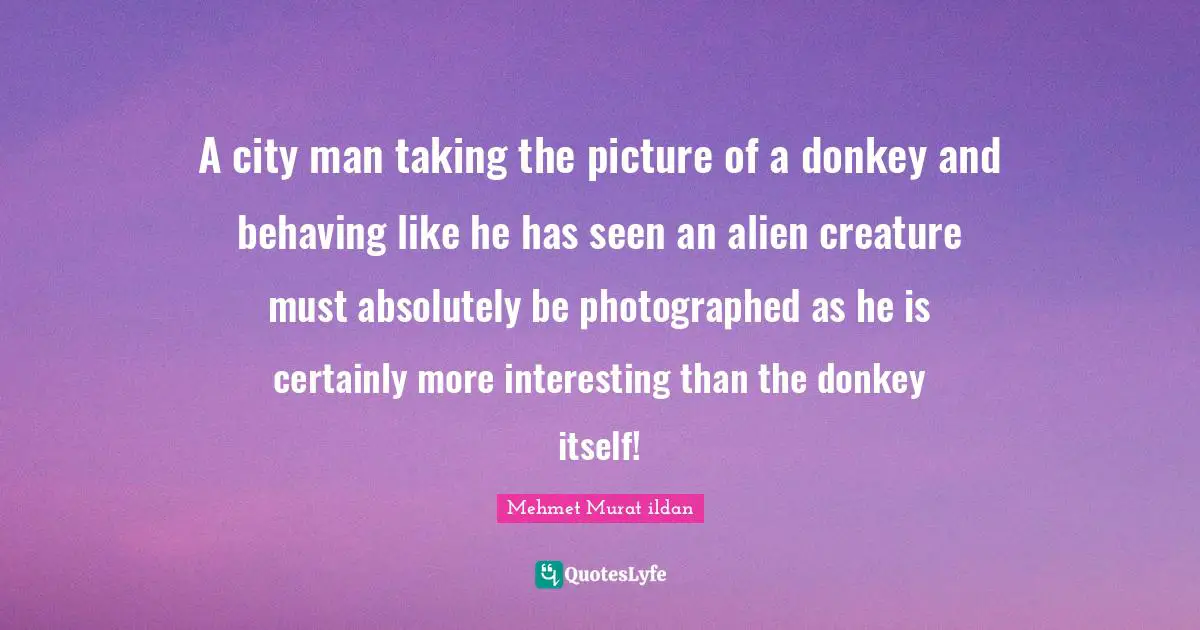A city man taking the picture of a donkey and behaving like he has seen an alien creature must absolutely be photographed as he is certainly more interesting than the donkey itself!