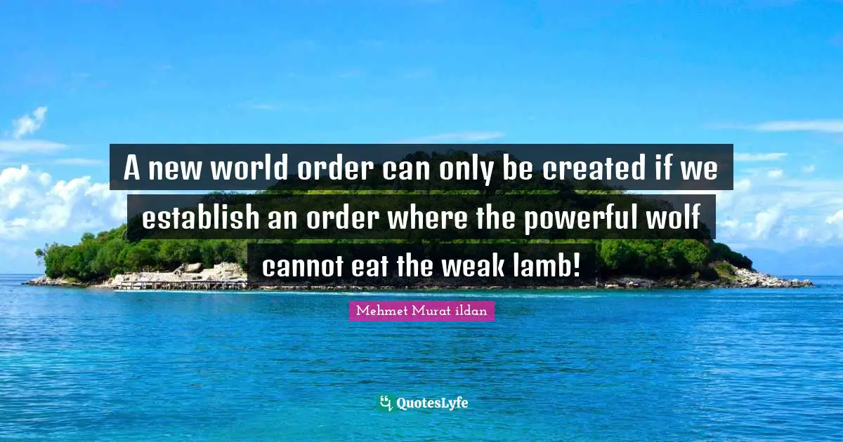 A new world order can only be created if we establish an order where the powerful wolf cannot eat the weak lamb!