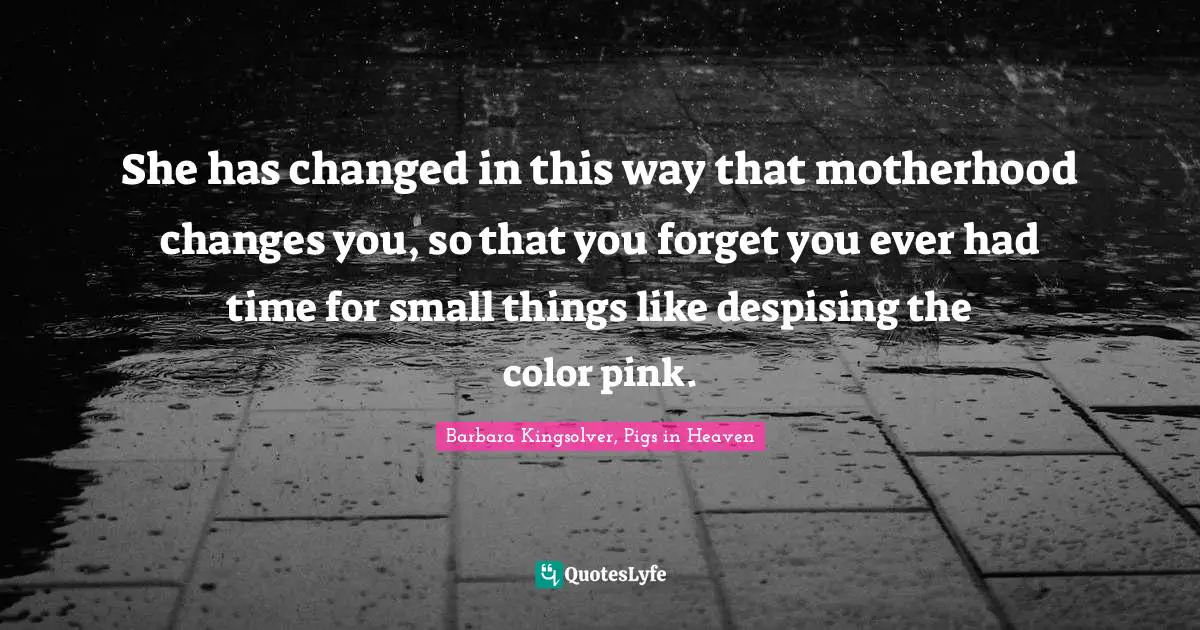 She has changed in this way that motherhood changes you, so that you forget you ever had time for small things like despising the color pink.