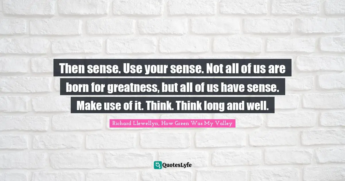 Then sense. Use your sense. Not all of us are born for greatness, but all of us have sense. Make use of it. Think. Think long and well.