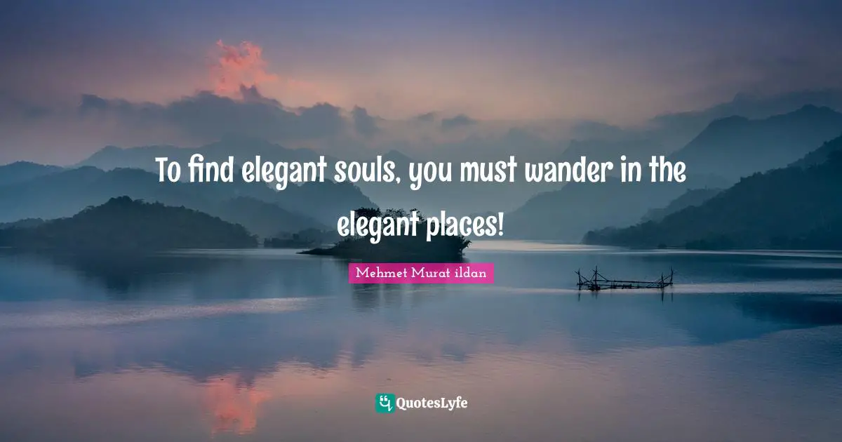 Ildan Wisdom Quotes: "To find elegant souls, you must wander in the elegant places!"