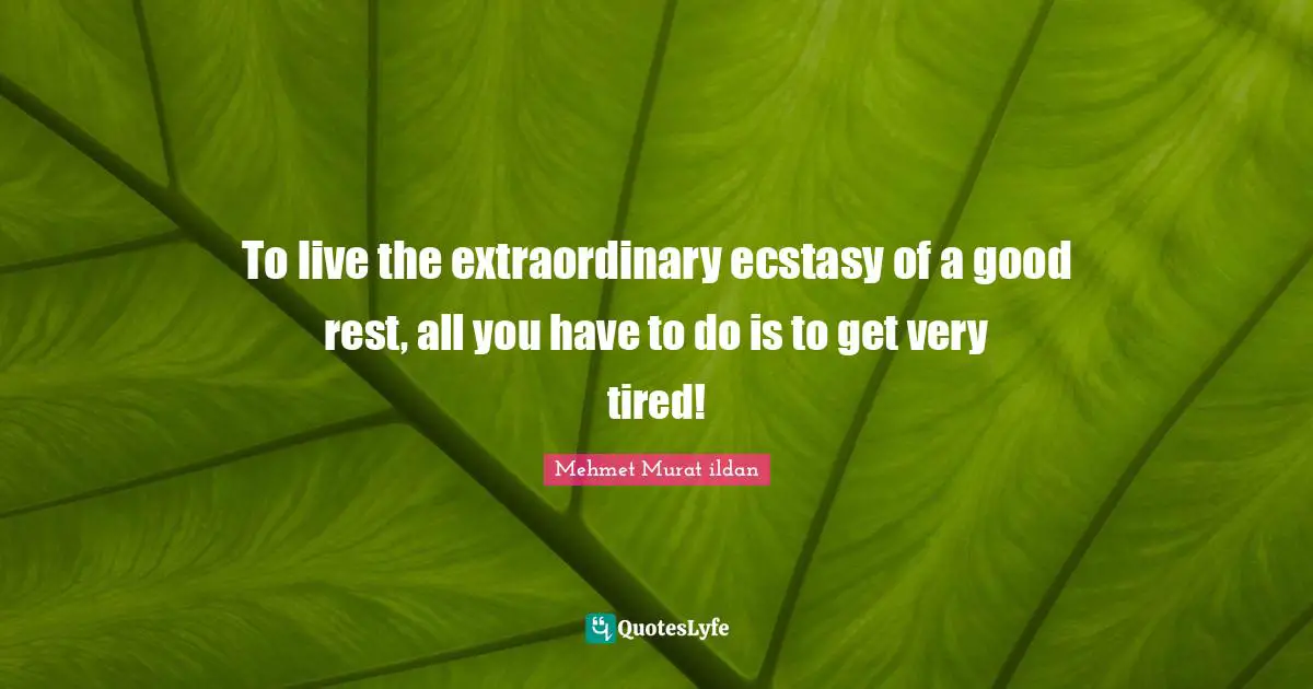 To live the extraordinary ecstasy of a good rest, all you have to do is to get very tired!