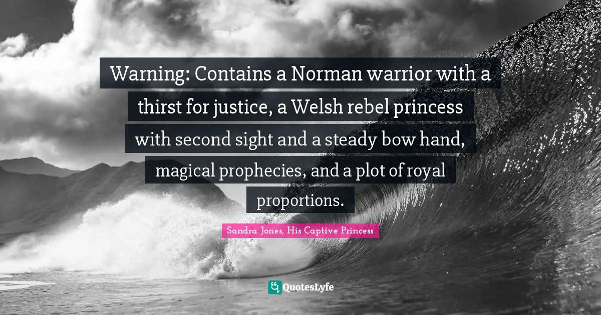 Warning: Contains a Norman warrior with a thirst for justice, a Welsh rebel princess with second sight and a steady bow hand, magical prophecies, and a plot of royal proportions.