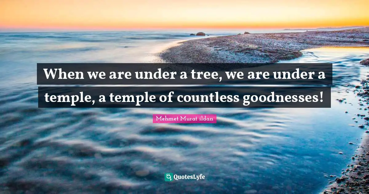 When we are under a tree, we are under a temple, a temple of countless goodnesses!