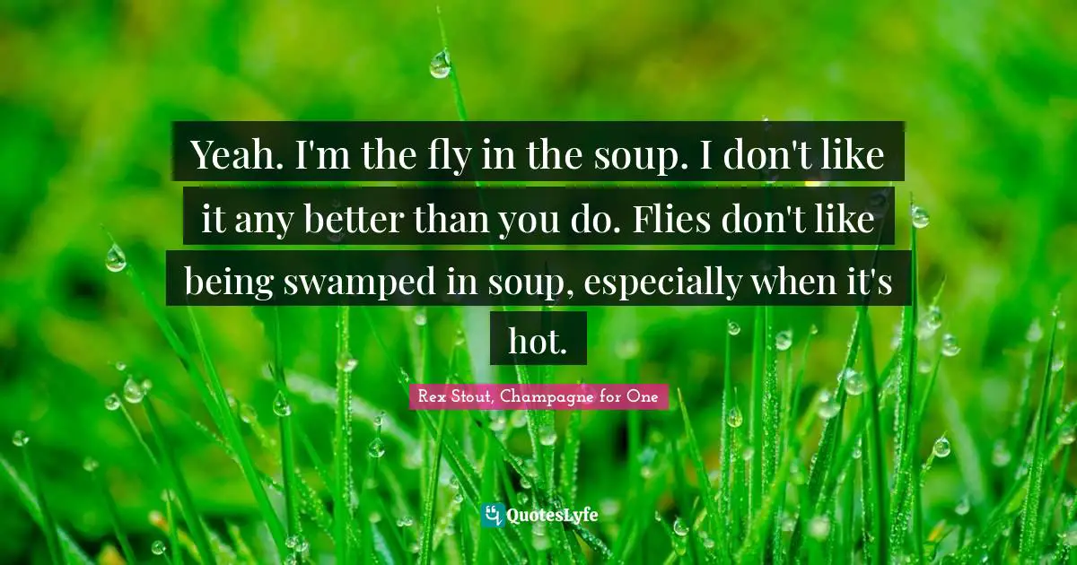 Yeah. I'm the fly in the soup. I don't like it any better than you do. Flies don't like being swamped in soup, especially when it's hot.