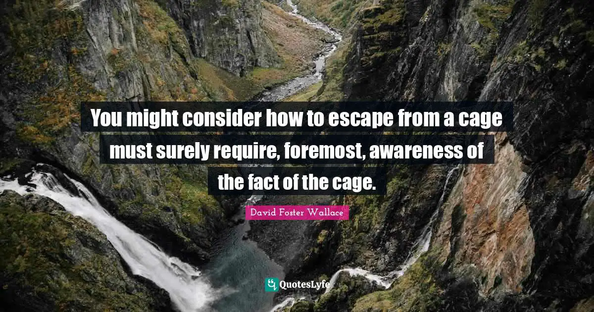 Wisedom Quotes: "You might consider how to escape from a cage must surely require, foremost, awareness of the fact of the cage."