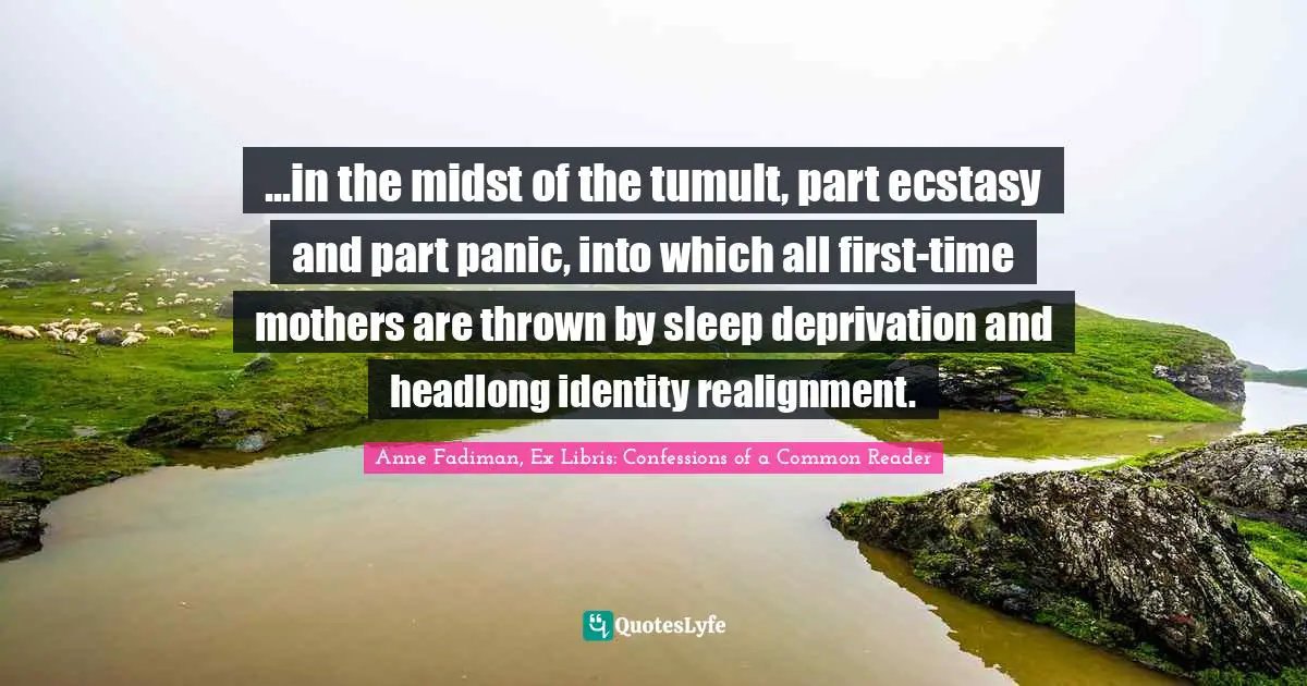 ...in the midst of the tumult, part ecstasy and part panic, into which all first-time mothers are thrown by sleep deprivation and headlong identity realignment.