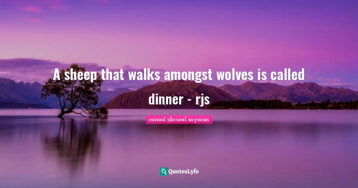 A sheep that walks amongst wolves is called dinner - rjs