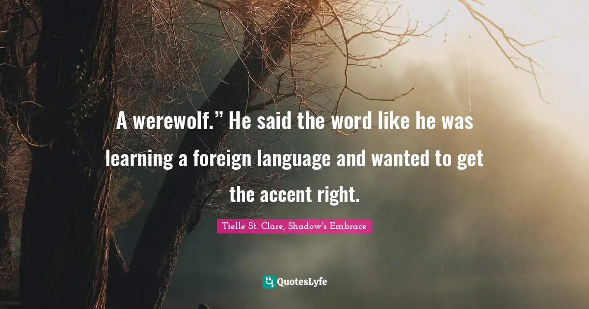 A werewolf.” He said the word like he was learning a foreign language and wanted to get the accent right.