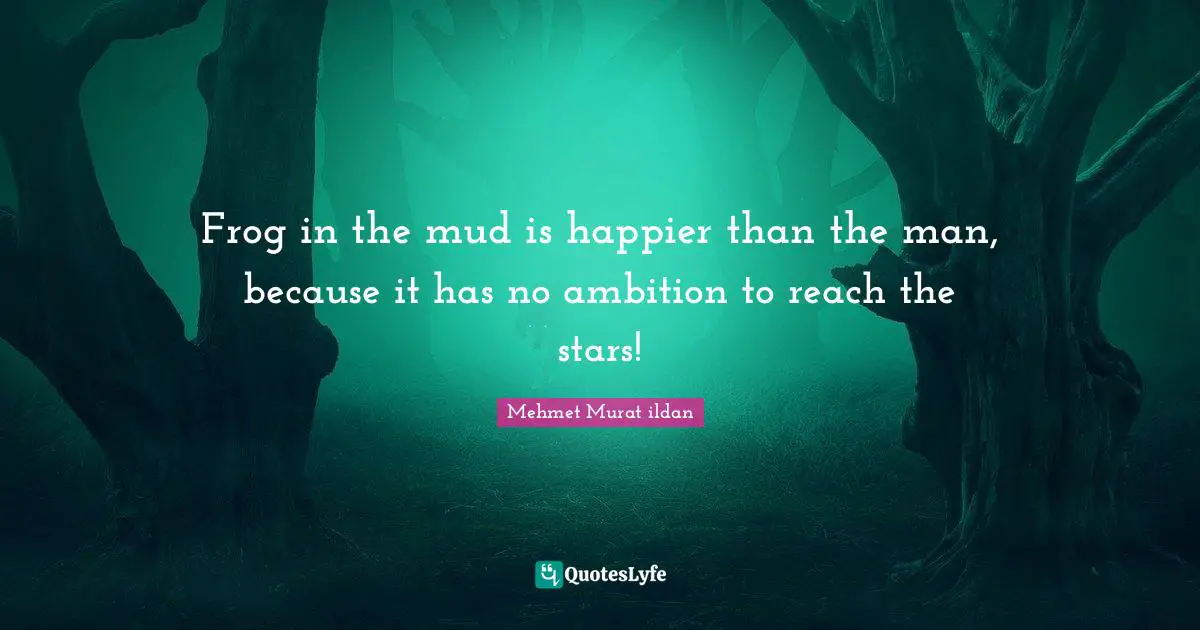 Frog in the mud is happier than the man, because it has no ambition to reach the stars!