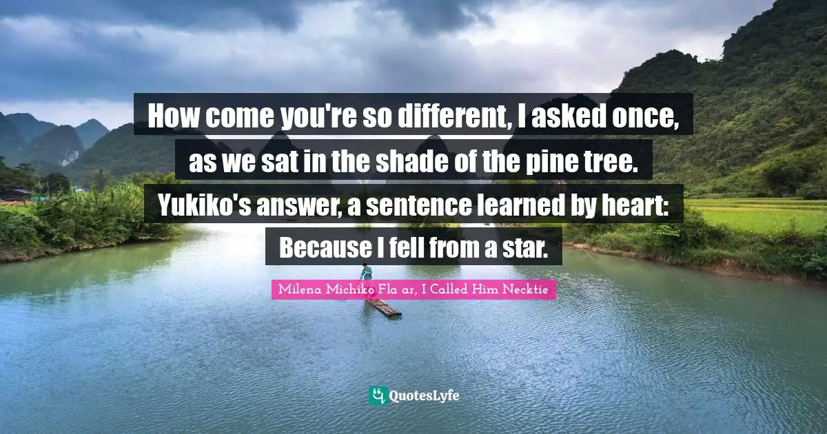 How come you're so different, I asked once, as we sat in the shade of the pine tree. Yukiko's answer, a sentence learned by heart: Because I fell from a star.