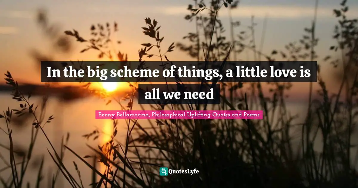 Benny Bellamacina, Philosophical Uplifting Quotes And Poems Quotes: "In the big scheme of things, a little love is all we need"