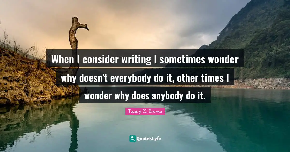 When I consider writing I sometimes wonder why doesn't everybody do it, other times I wonder why does anybody do it.