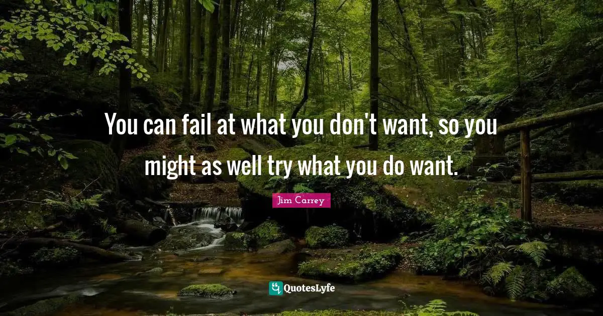 You can fail at what you don't want, so you might as well try what you do want.