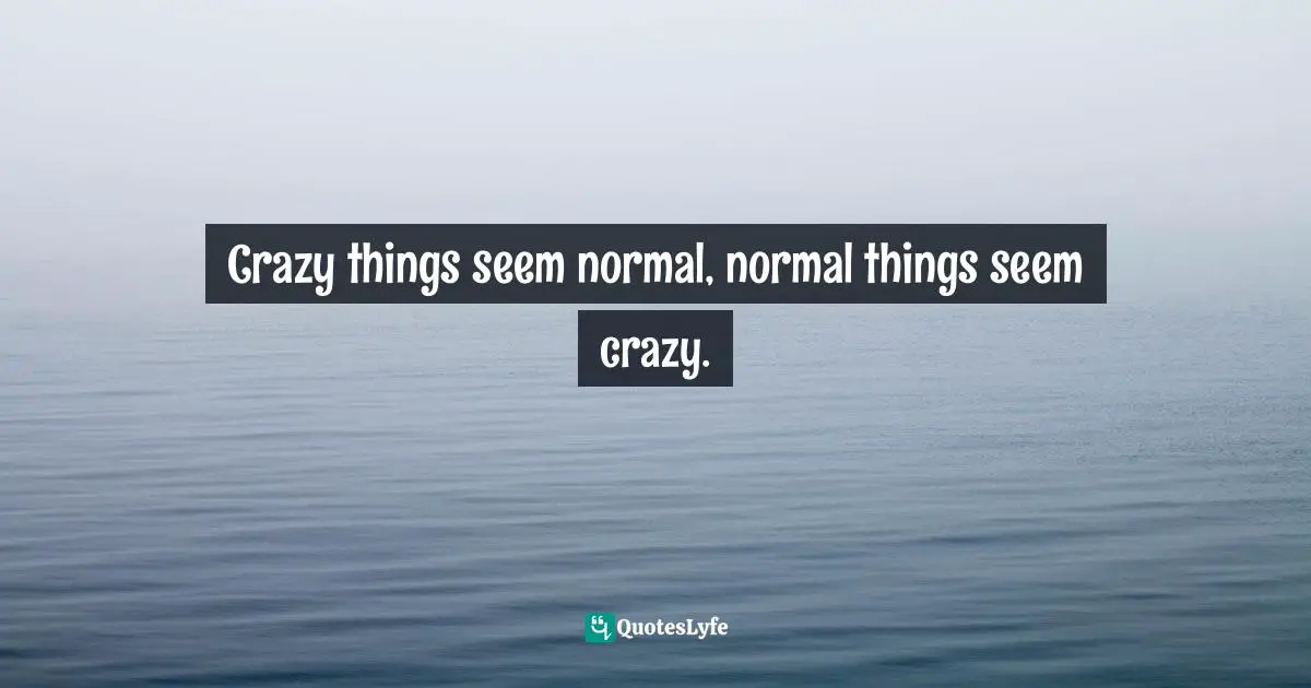 Crazy things seem normal, normal things seem crazy.