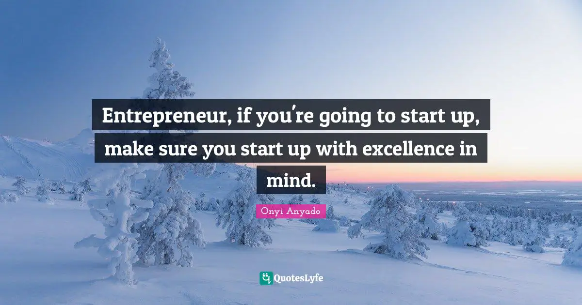 Onyi Anyado Quotes: "Entrepreneur, if you're going to start up, make sure you start up with excellence in mind."