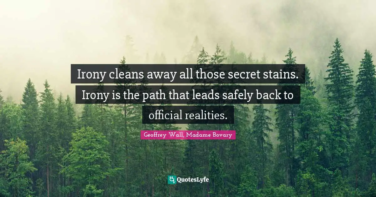 Irony cleans away all those secret stains. Irony is the path that leads safely back to official realities.