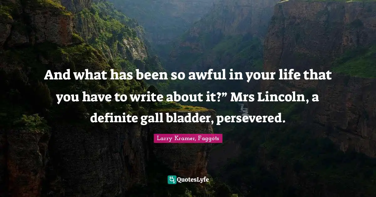 And what has been so awful in your life that you have to write about it?” Mrs Lincoln, a definite gall bladder, persevered.