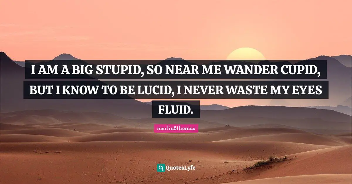 I AM A BIG STUPID, SO NEAR ME WANDER CUPID, BUT I KNOW TO BE LUCID, I NEVER WASTE MY EYES FLUID.