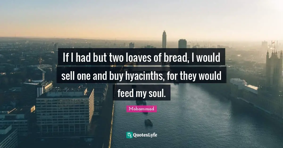 Hyacinths Quotes: "If I had but two loaves of bread, I would sell one and buy hyacinths, for they would feed my soul."