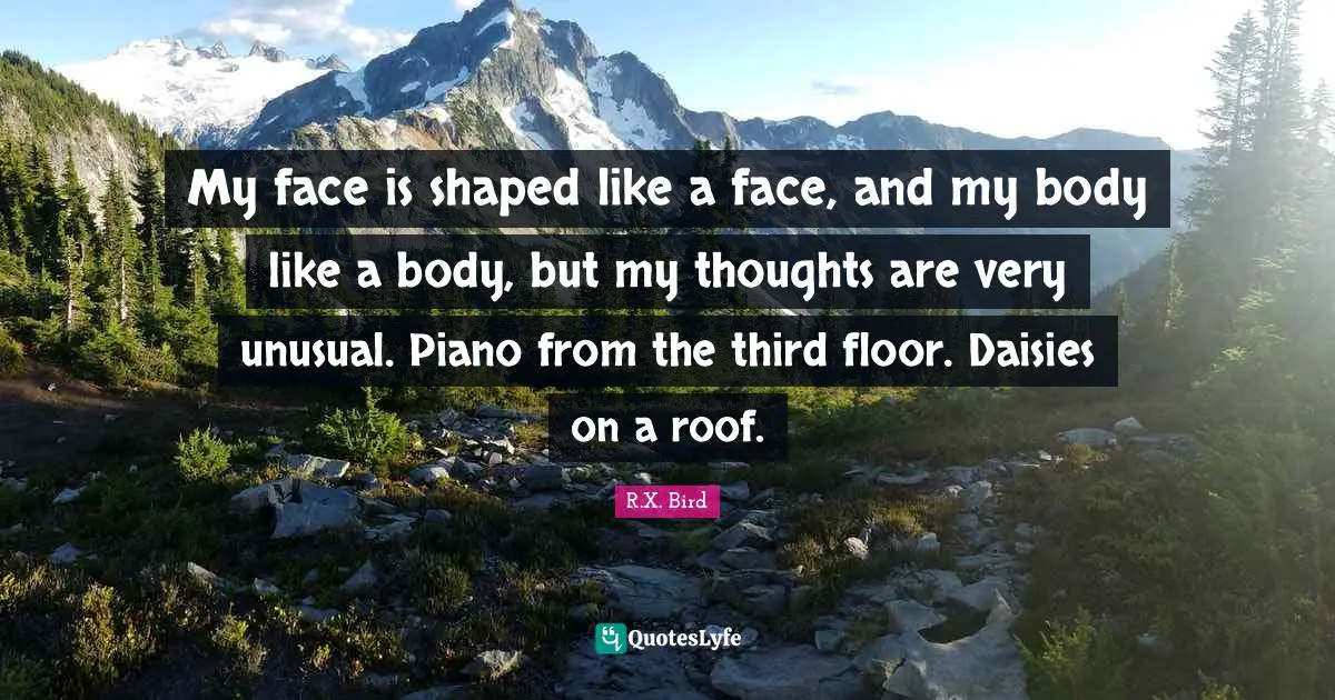 My face is shaped like a face, and my body like a body, but my thoughts are very unusual. Piano from the third floor. Daisies on a roof.
