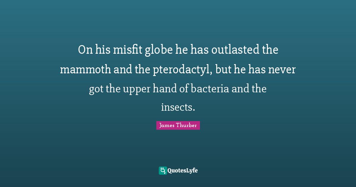 On his misfit globe he has outlasted the mammoth and the pterodactyl, but he has never got the upper hand of bacteria and the insects.