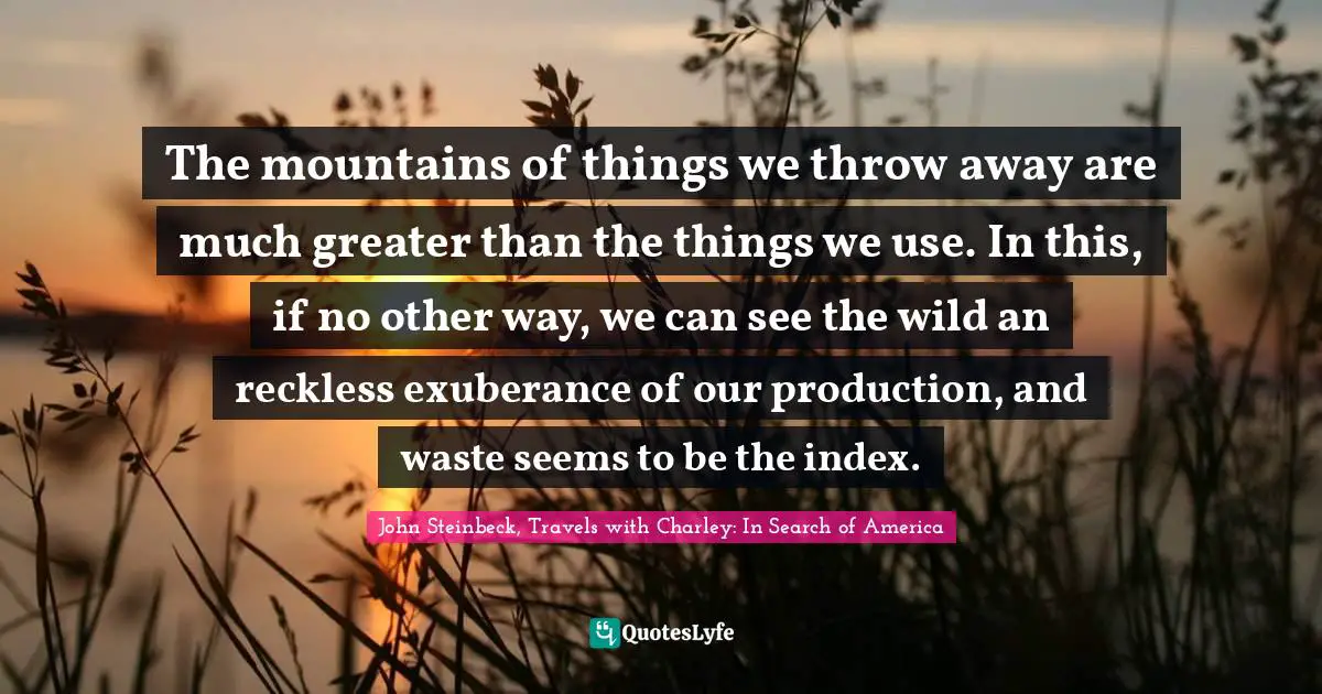 The mountains of things we throw away are much greater than the things we use. In this, if no other way, we can see the wild an reckless exuberance of our production, and waste seems to be the index.