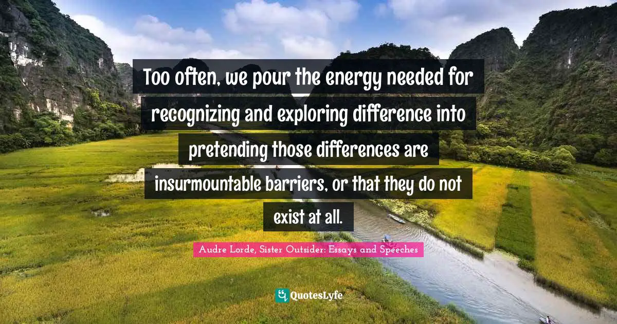 Too often, we pour the energy needed for recognizing and exploring difference into pretending those differences are insurmountable barriers, or that they do not exist at all.