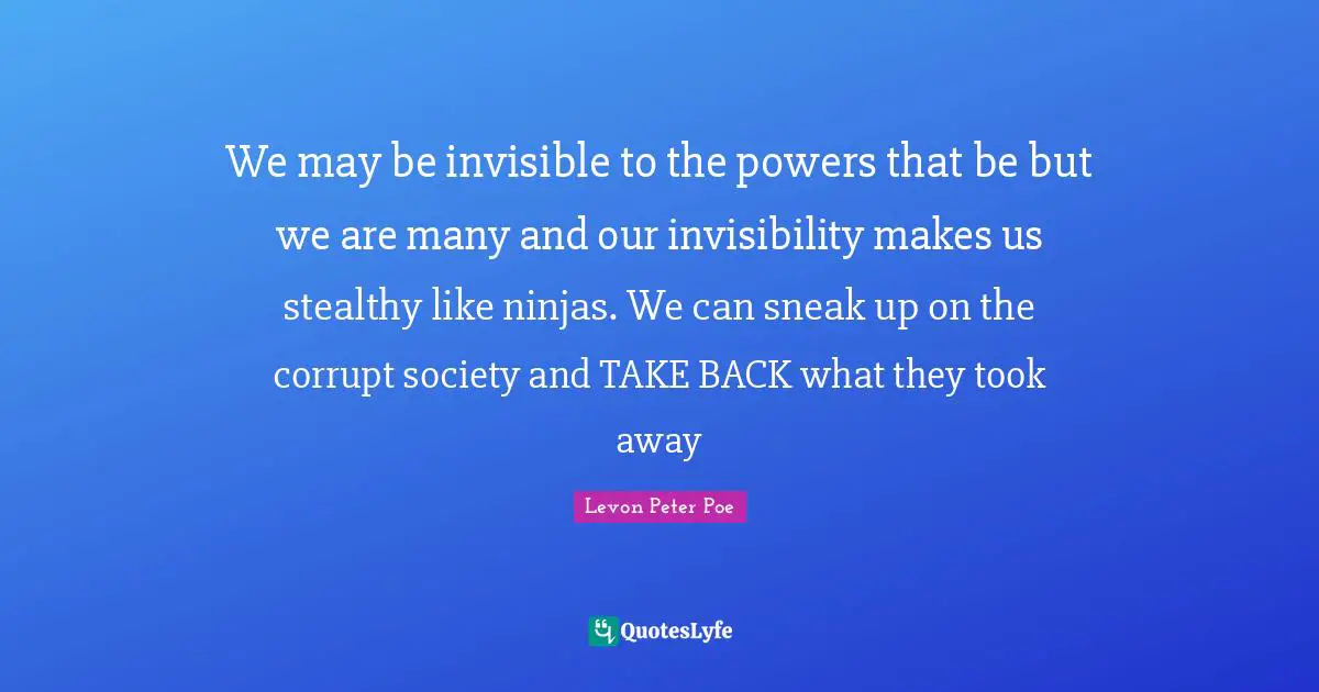 We may be invisible to the powers that be but we are many and our invisibility makes us stealthy like ninjas. We can sneak up on the corrupt society and TAKE BACK what they took away