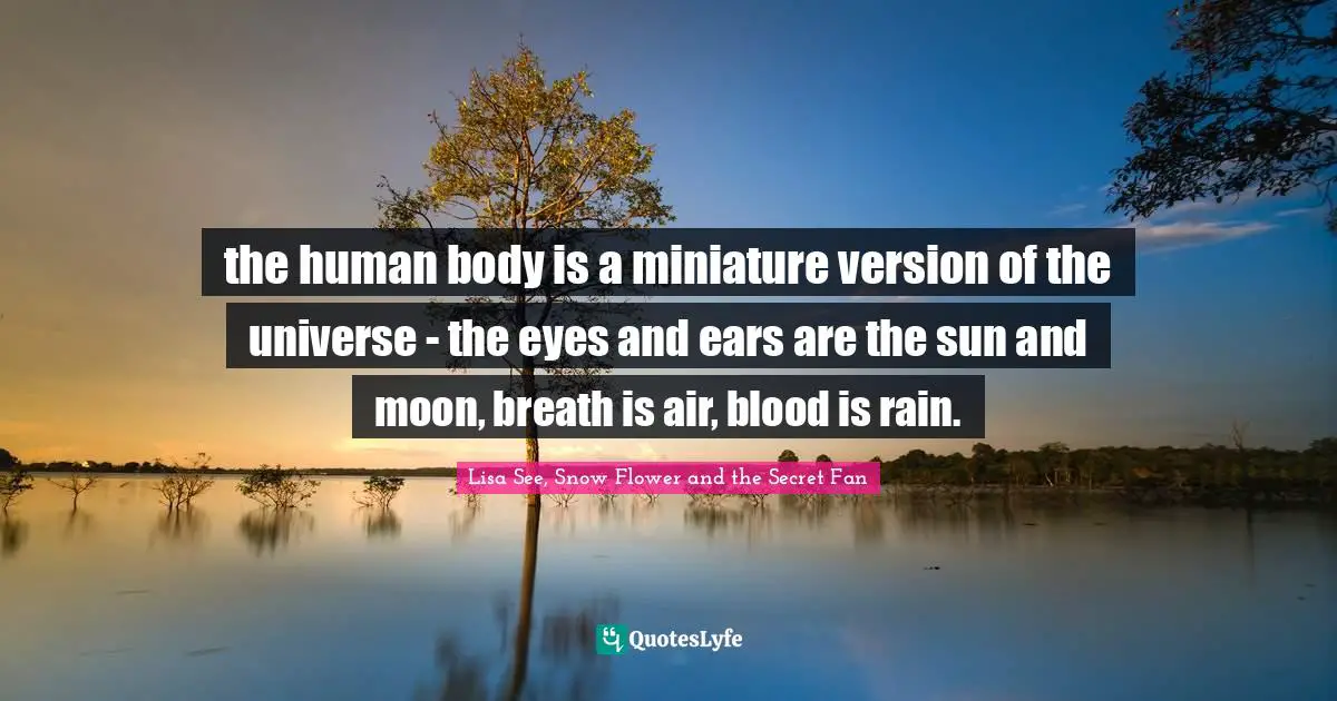 the human body is a miniature version of the universe - the eyes and ears are the sun and moon, breath is air, blood is rain.