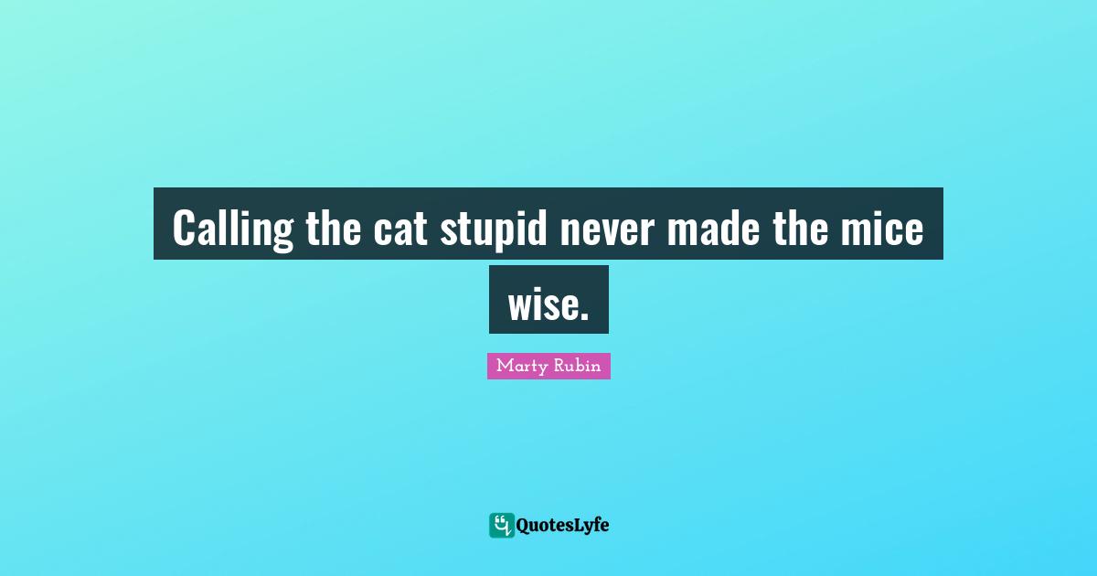 Calling the cat stupid never made the mice wise.