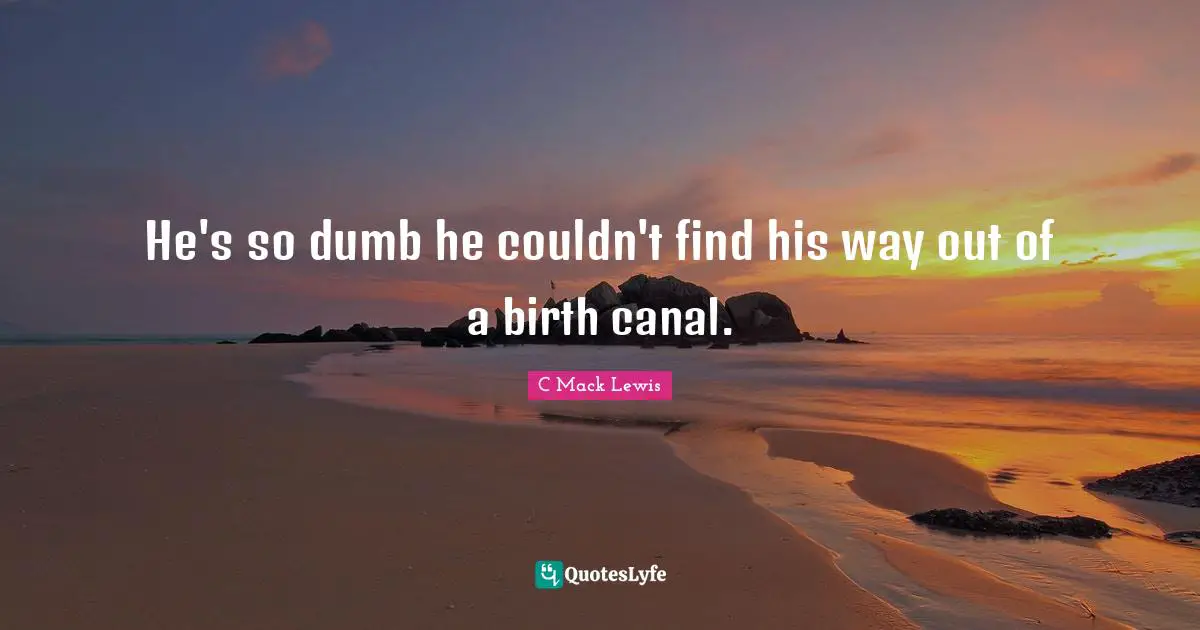 He's so dumb he couldn't find his way out of a birth canal.