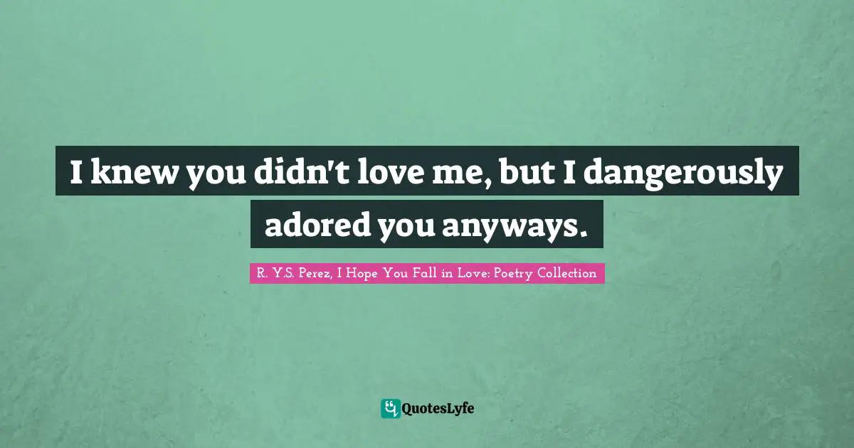 I knew you didn't love me, but I dangerously adored you anyways.