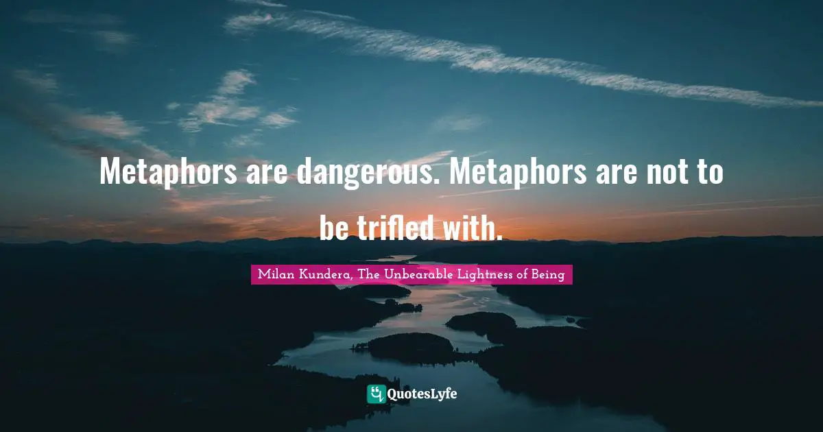 Metaphors are dangerous. Metaphors are not to be trifled with.