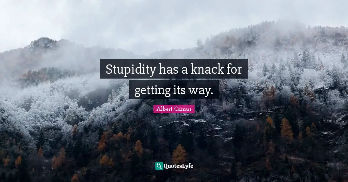 Stupidity has a knack for getting its way.