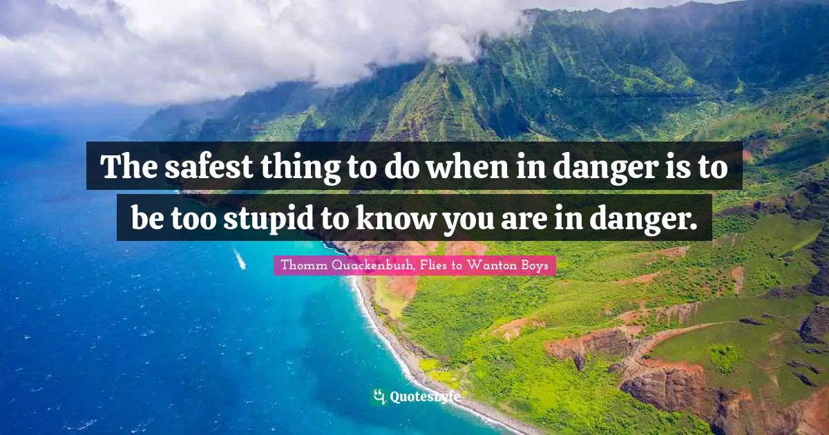 The safest thing to do when in danger is to be too stupid to know you are in danger.