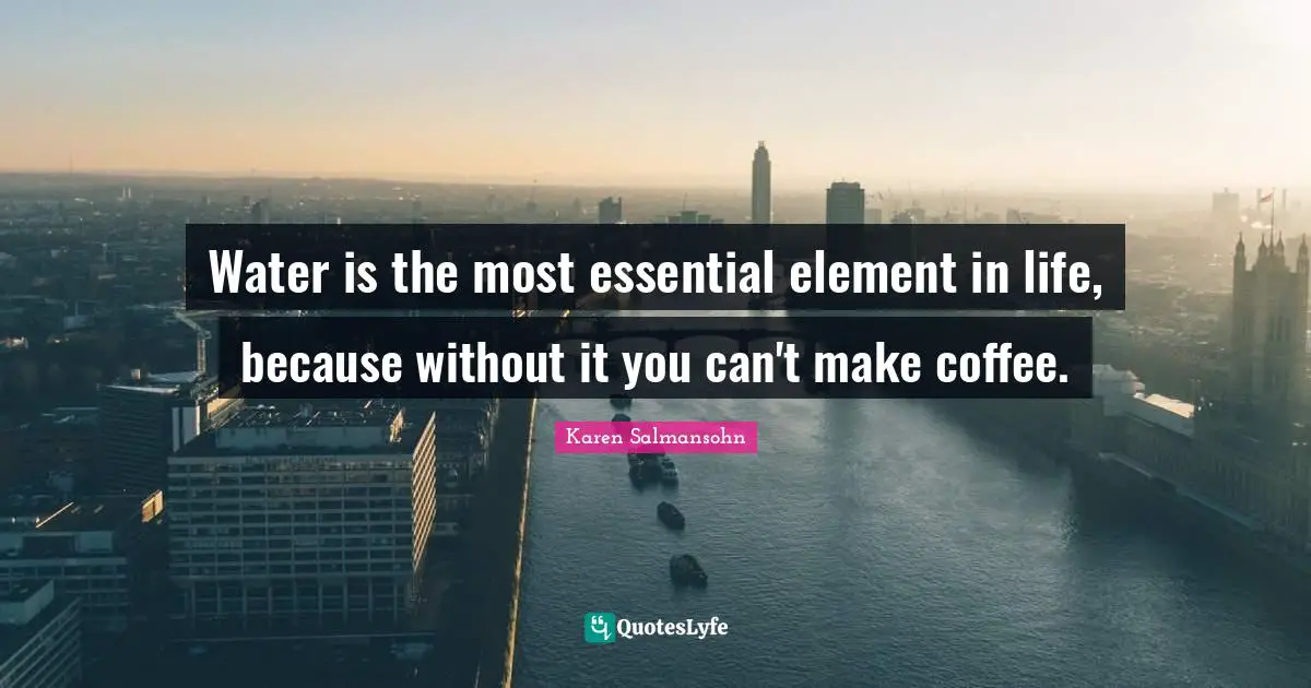 Karen Salmansohn Quotes: "Water is the most essential element in life, because without it you can't make coffee."