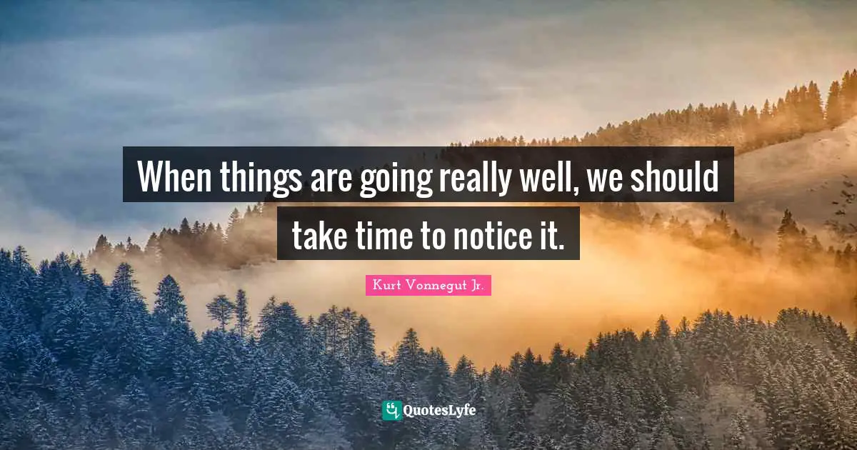 When things are going really well, we should take time to notice it.