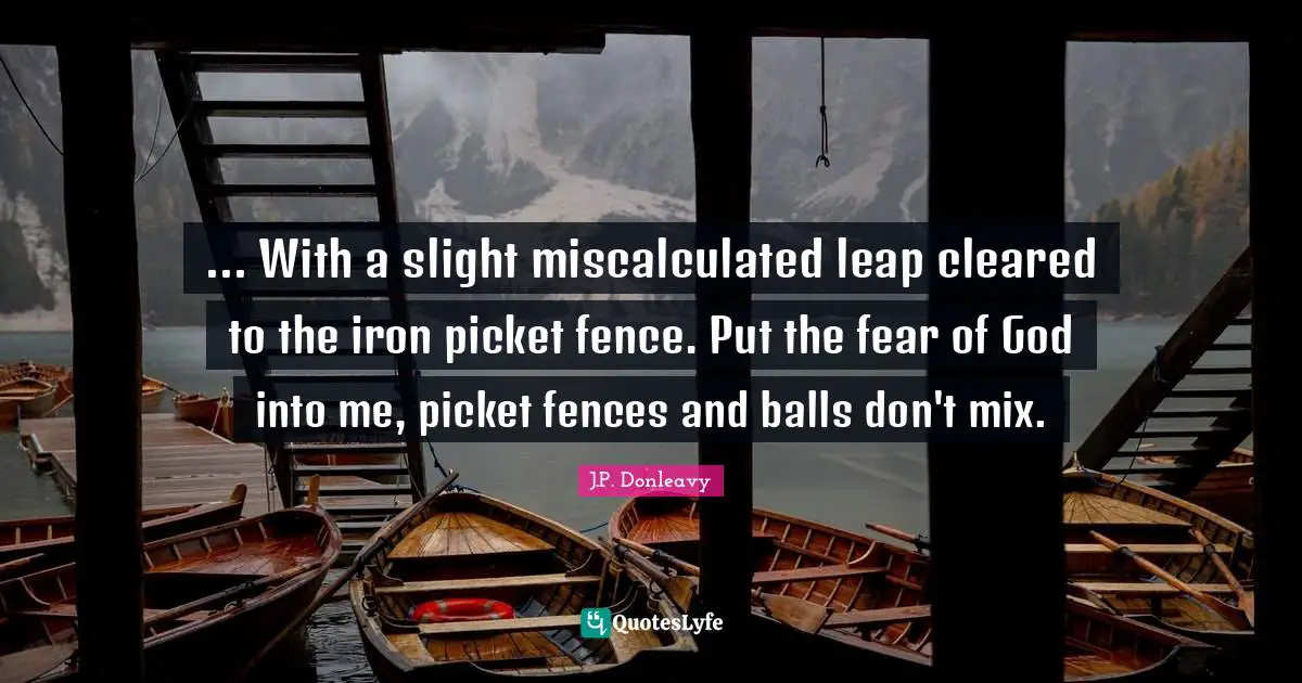 ... With a slight miscalculated leap cleared to the iron picket fence. Put the fear of God into me, picket fences and balls don't mix.