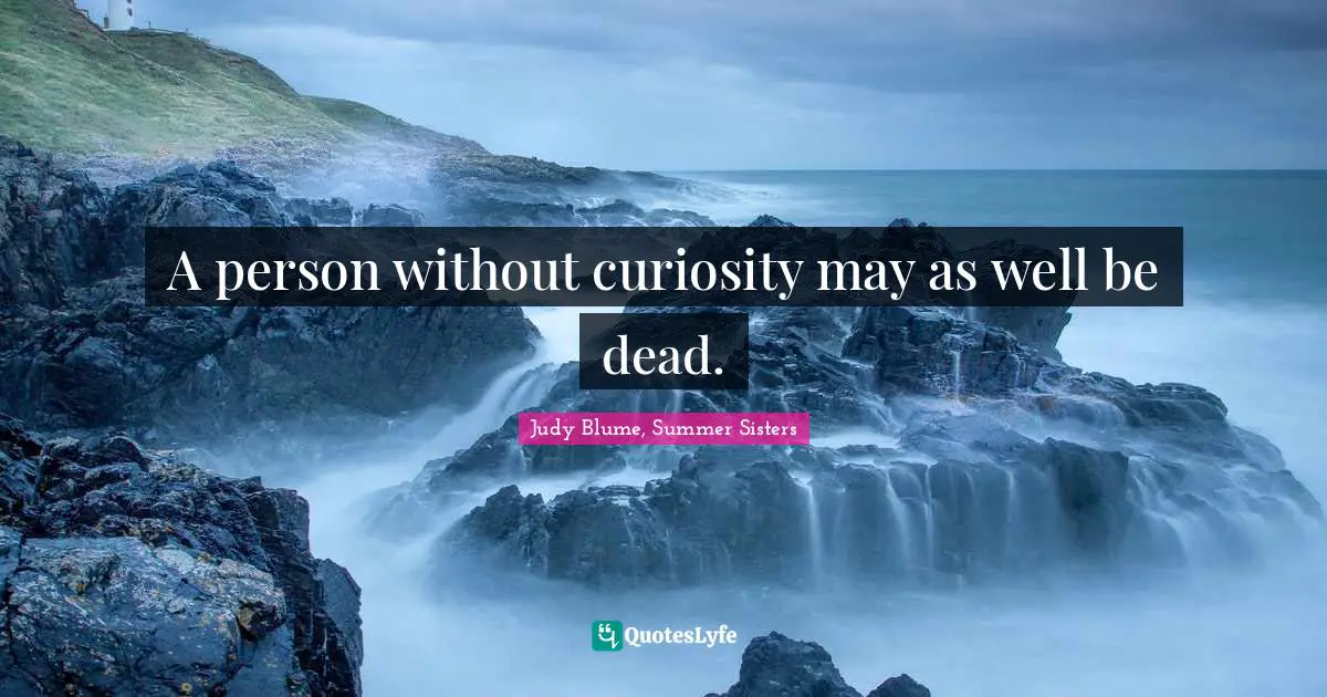 A person without curiosity may as well be dead.