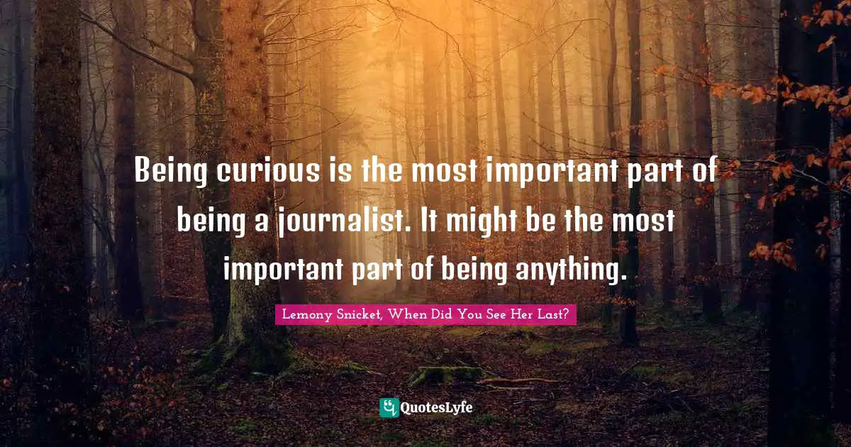 Being curious is the most important part of being a journalist. It might be the most important part of being anything.
