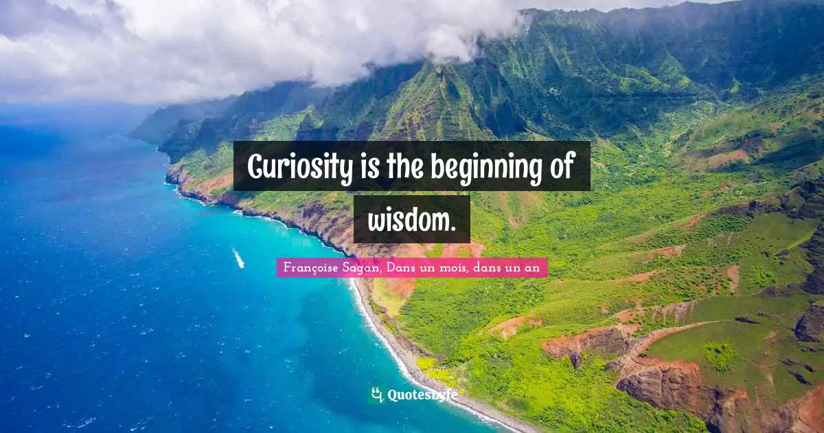 Curiosity is the beginning of wisdom.... Quote by Françoise Sagan, Dans