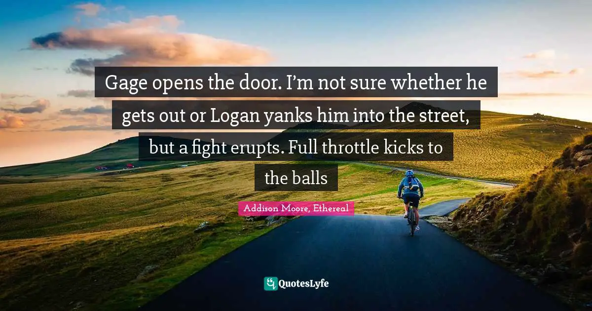 Gage opens the door. I’m not sure whether he gets out or Logan yanks him into the street, but a fight erupts. Full throttle kicks to the balls