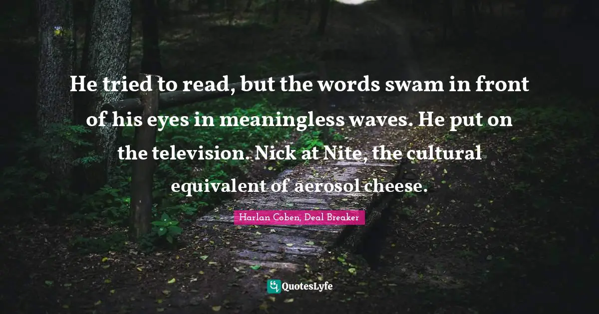 He tried to read, but the words swam in front of his eyes in meaningless waves. He put on the television. Nick at Nite, the cultural equivalent of aerosol cheese.