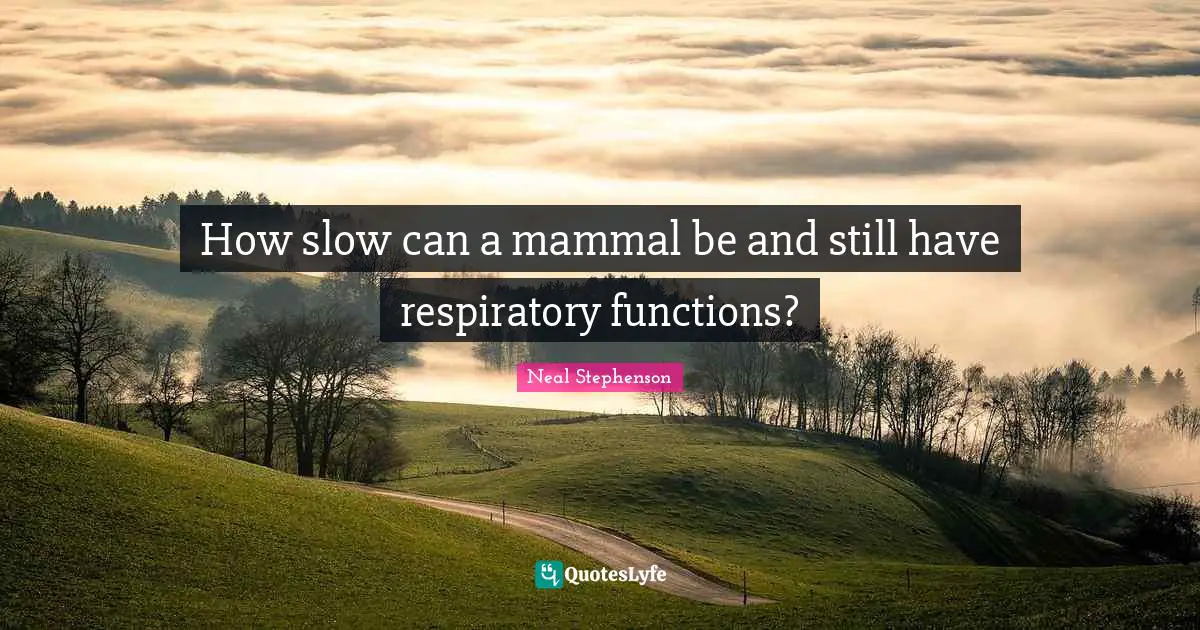 How slow can a mammal be and still have respiratory functions?
